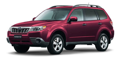 Camellia Red Pearl